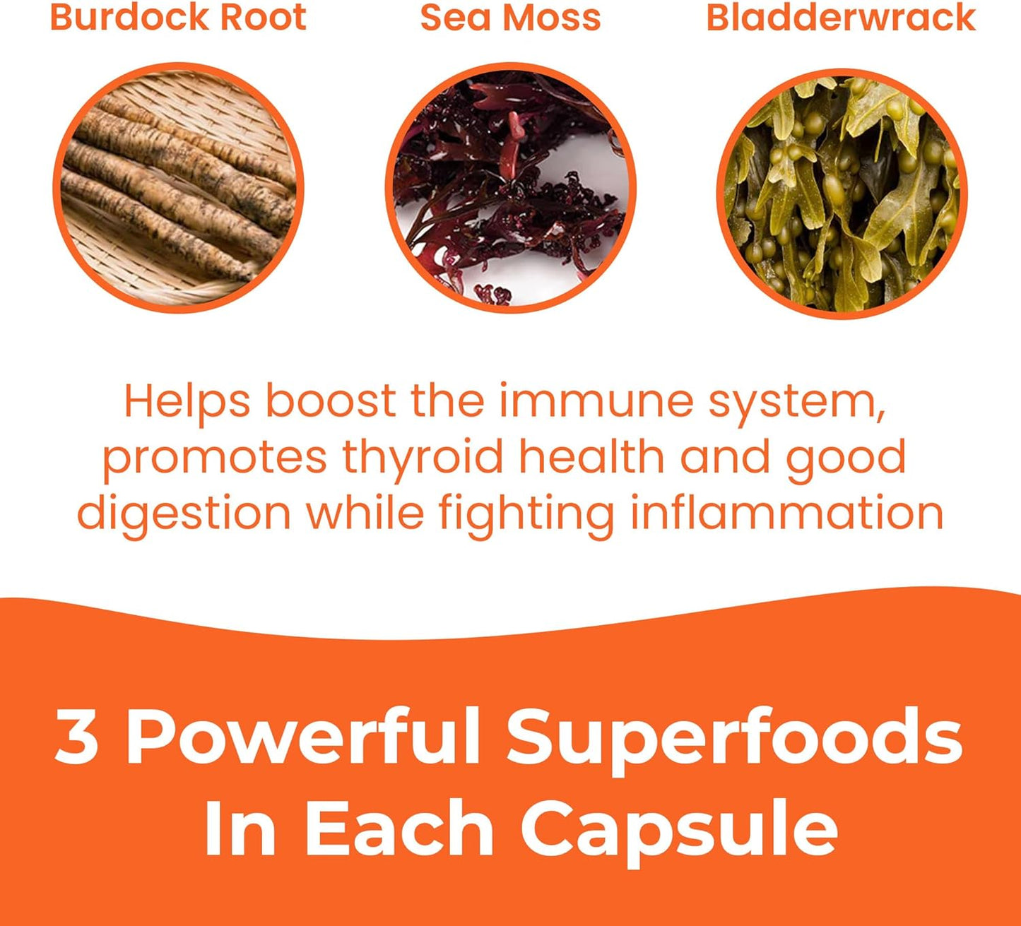 INFINITE AGE 1250mg Sea Moss Advanced Superfood Capsules, 60 Count