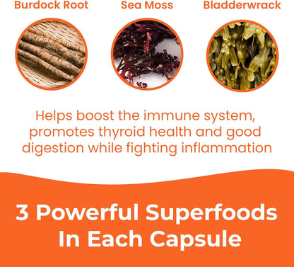 INFINITE AGE 1250mg Sea Moss Advanced Superfood Capsules, 60 Count